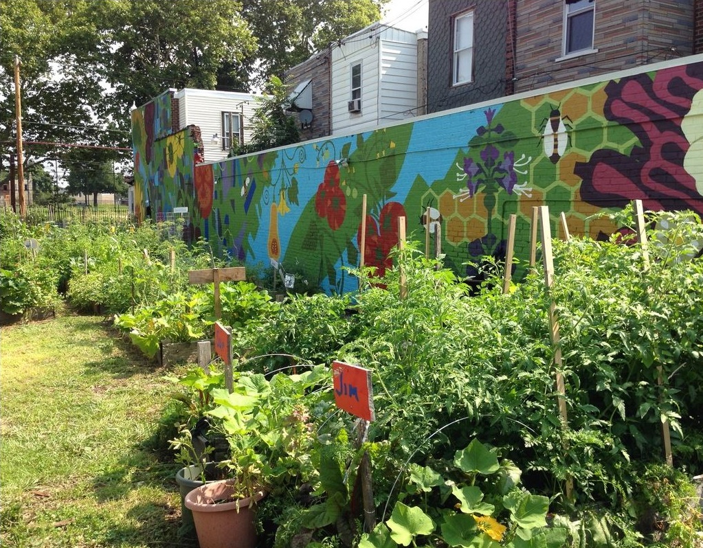 2015 photo of raised beds with vegetables and the mural at the Brewerytown Garden Story