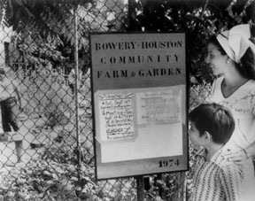 The garden was founded by Liz Christy and the Green Guerillas, a group of gardening activists who planted trees and threw 'seed bombs' into vacant lots to plant flowers.