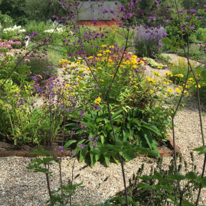 Habitat for Pollinators Garden is maintained by the Millbrook Garden Club at the Sharon Audubon Center.