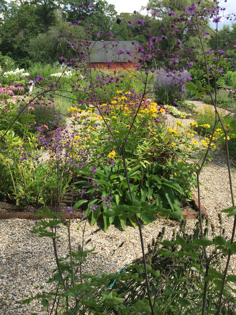 Habitat for Pollinators Garden is maintained by the Millbrook Garden Club at the Sharon Audubon Center.