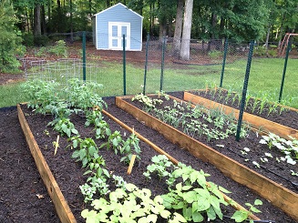 A view of the raised bed garden