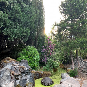 A rocky garden - The Smith Garden