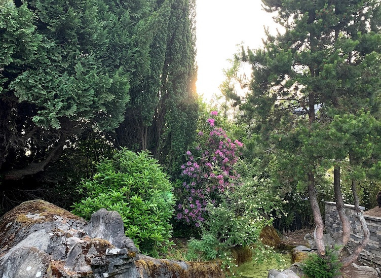 A rocky garden - The Smith Garden