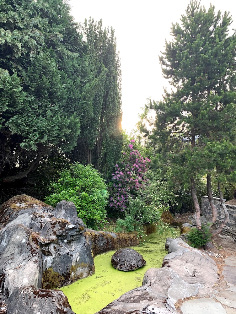 A rocky garden - The Smith Garden