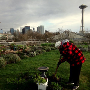 Bonnie created a “touch and smell” garden at the UpGarden PPatch garden that allows students with low vision to experience gardening more fully.