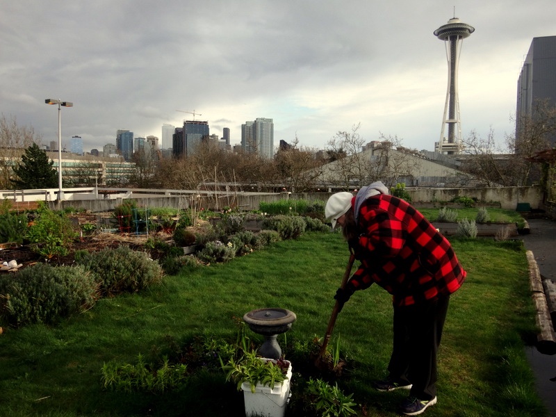 Bonnie created a “touch and smell” garden at the UpGarden PPatch garden that allows students with low vision to experience gardening more fully.