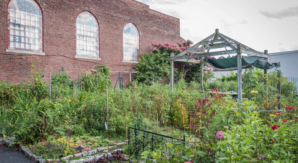 Bel Arbor Community Garden