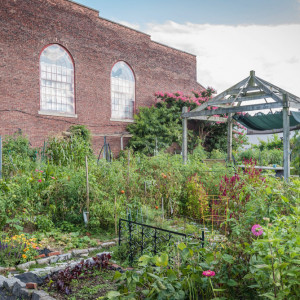 Bel Arbor Community Garden