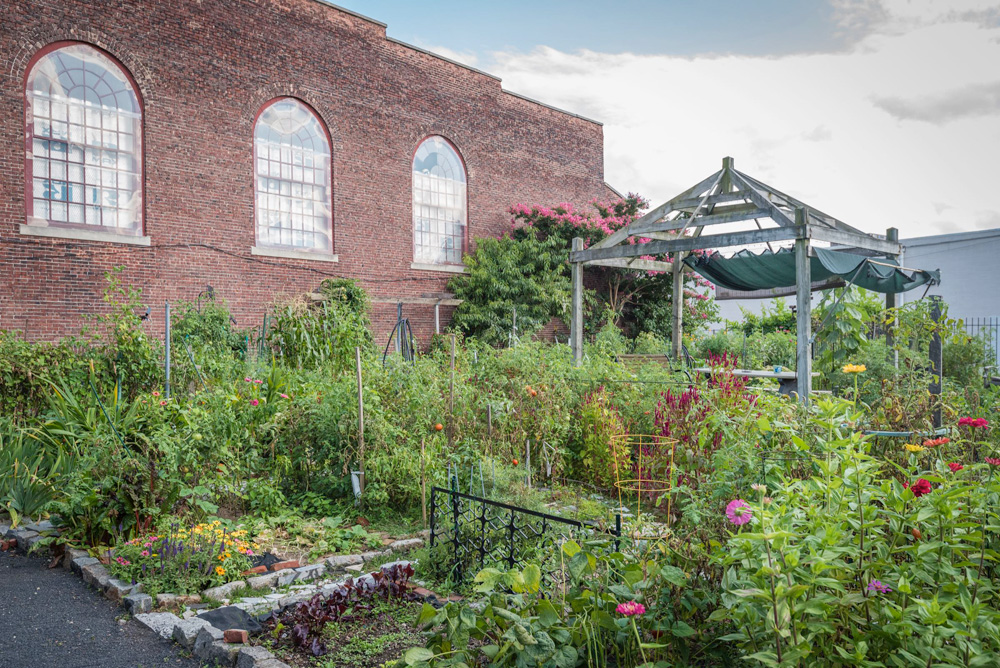 Bel Arbor Community Garden