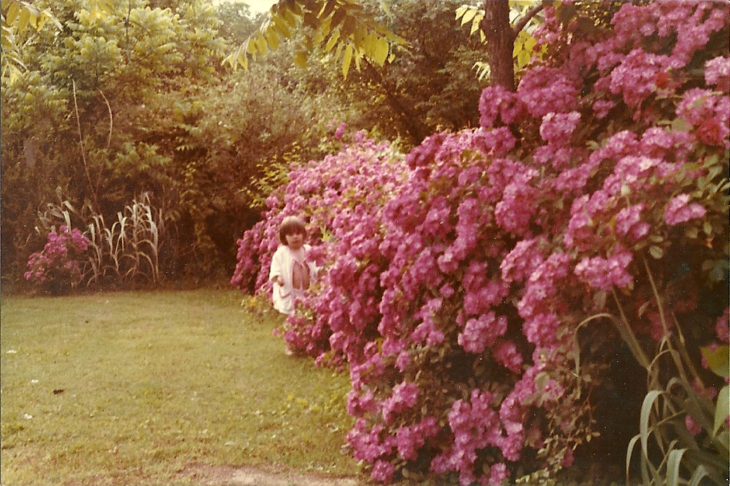 The author's sister in grandmother's rose garden