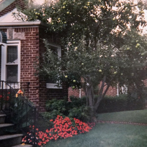 Auburndale, Queens, New York, , circa 1976.