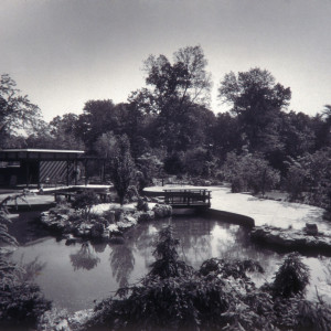 Free-form pond and patio in the gardens of Capitol Car Distributors in Lanham, Maryland. Stewart Brothers, photographers, circa 1966. Smithsonian Institution, Archives of American Gardens, Garden Club of America Collection.