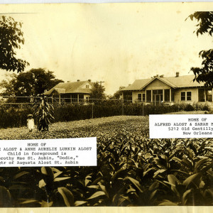 J.A. Alost, Sr., Nursery (formerly Rose Villa), ephemera announcing the nursery as the "largest growers of grafted Christmas cactus in the United States," early 20th century.