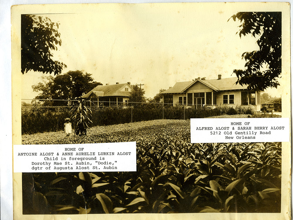 J.A. Alost, Sr., Nursery (formerly Rose Villa), ephemera announcing the nursery as the "largest growers of grafted Christmas cactus in the United States," early 20th century.