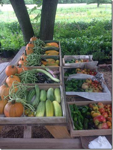 Franciscan Monastery Garden Guild Food Bank Farm