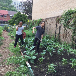 Community gardener and grant recipient.