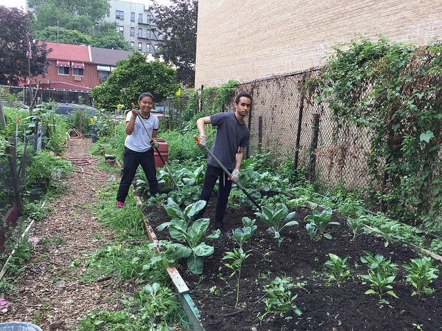 Community gardener and grant recipient.