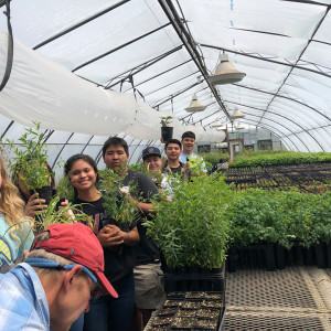 Ronan High School Native Plant Garden: A Space for Learning, Community, & Cultural Competency