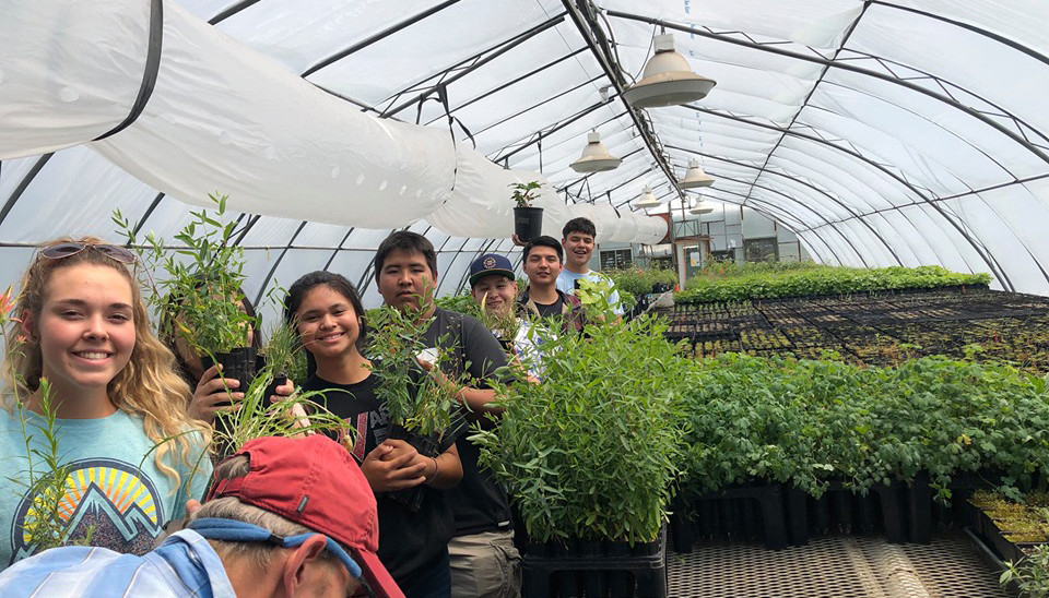 Ronan High School Native Plant Garden: A Space for Learning, Community, & Cultural Competency