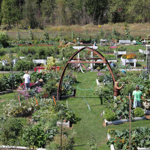 Constructing the community garden