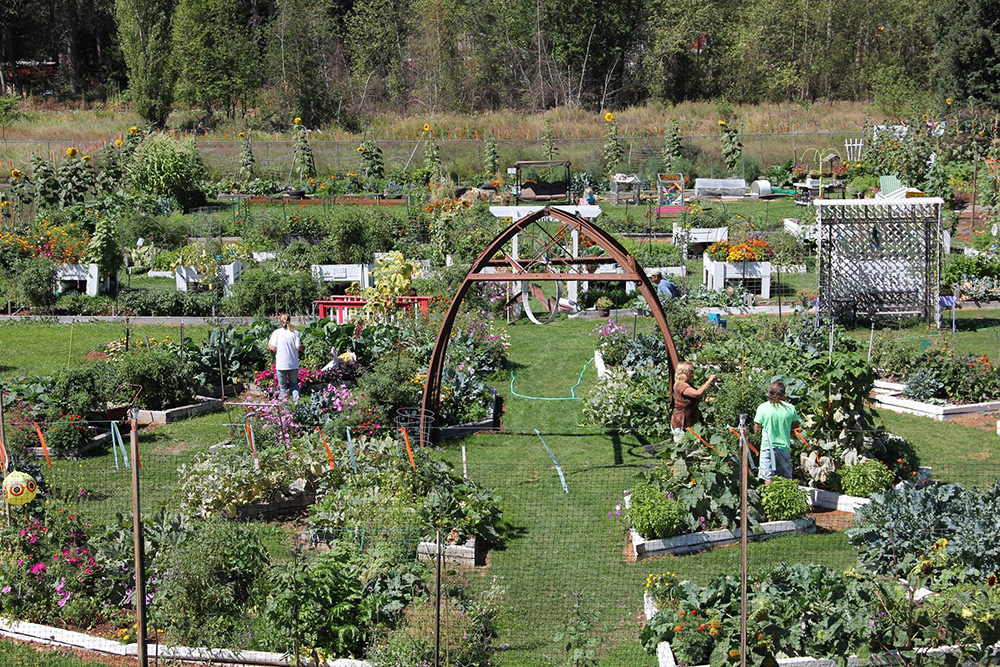 Constructing the community garden