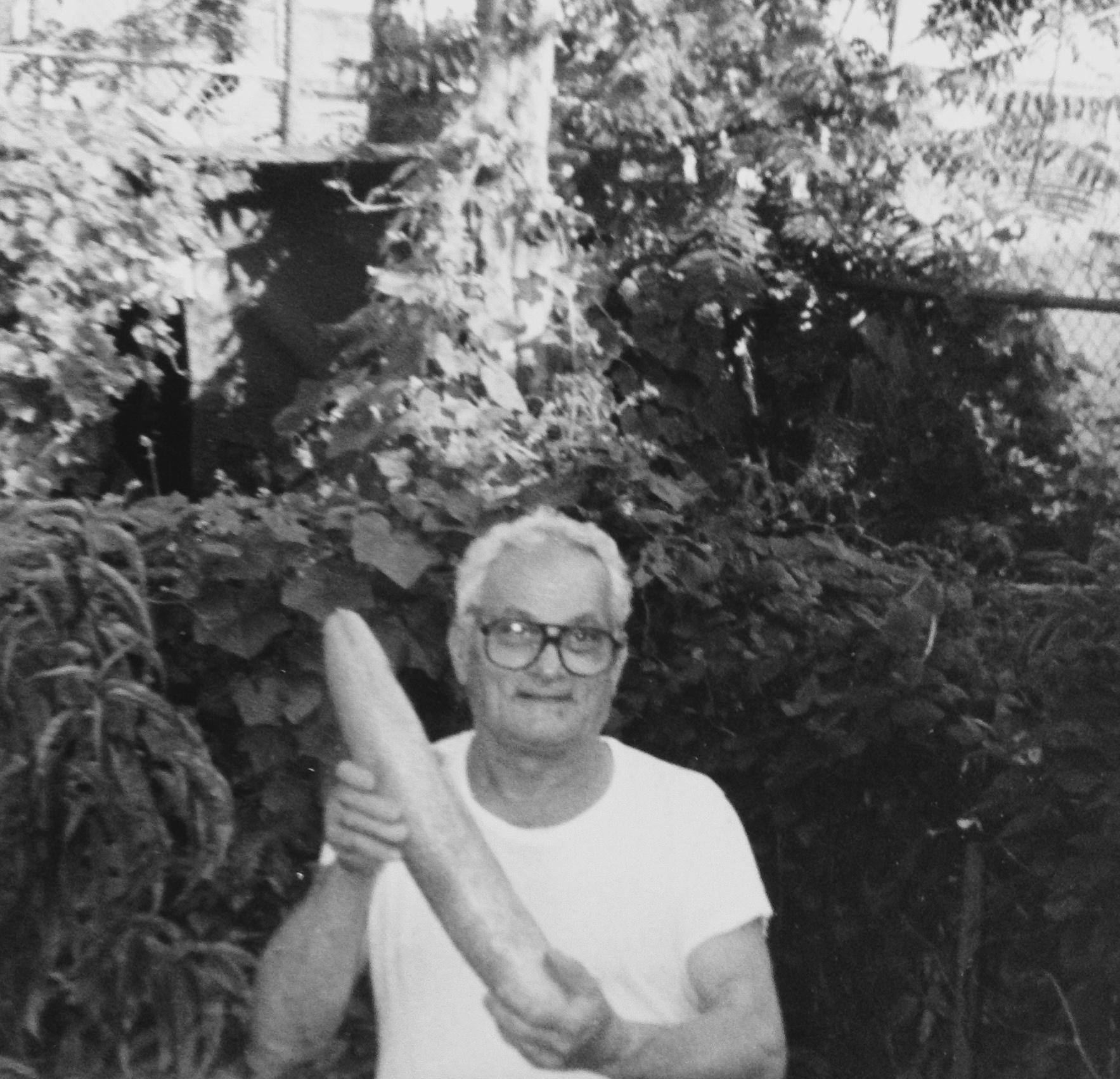 Francesco Pietanza, my father. In the middle of his digging excavation that doubled our garden in size.