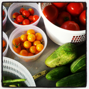 Cucumbers, tomatoes, and green beans harvested from the Well Fed Community Garden. The produce is sold to  the Irregardless Café and donated to volunteers and those in the community.