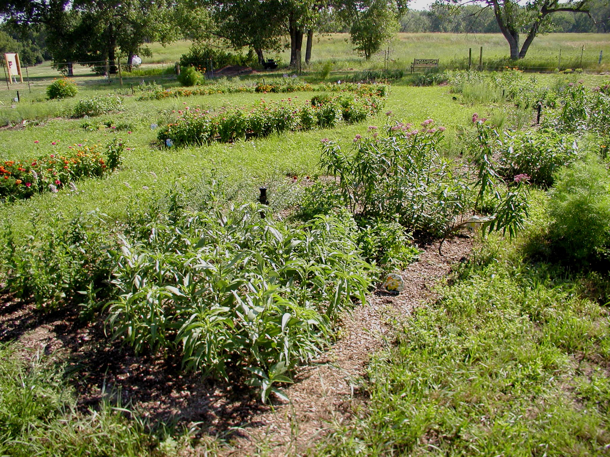 Oahe Downstream Recreation Area butterfly garden