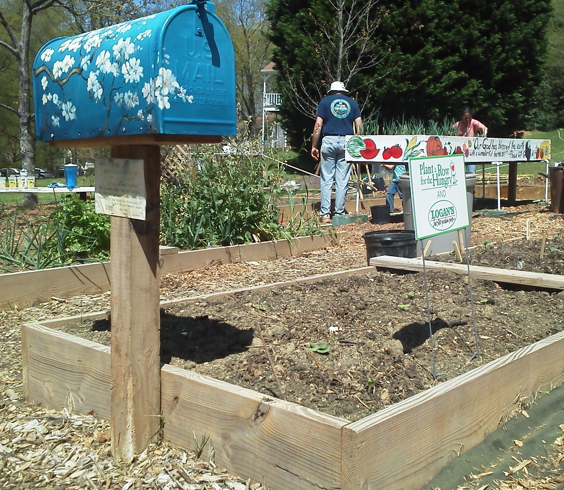 Potato beds made from chicken wire in the Kirk Community Garden.