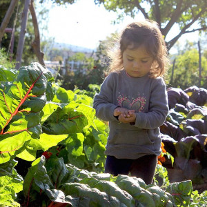 Ithaca Children's Garden