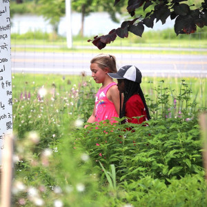 Ithaca Children's Garden