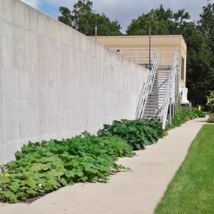 Managed by Peggy and the McHenry County Master Gardeners.