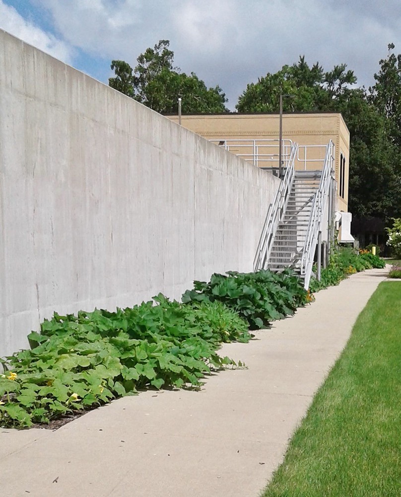 Managed by Peggy and the McHenry County Master Gardeners.