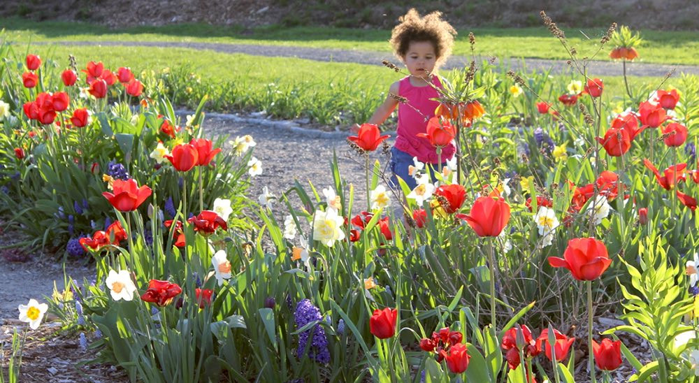 Ithaca Children's Garden