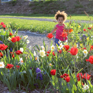 Ithaca Children's Garden