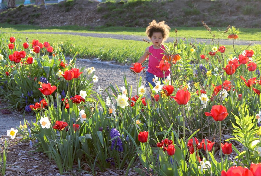 Ithaca Children's Garden