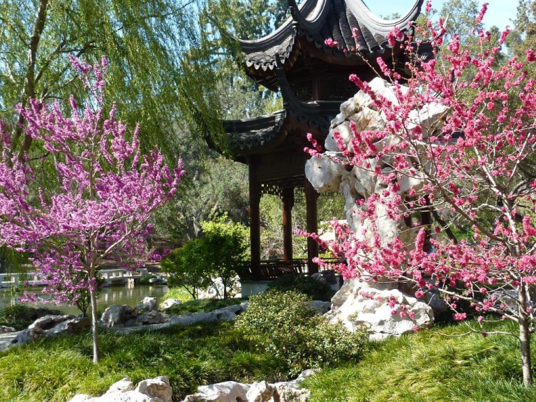 The Chinese Garden at the Huntington Botanical Gardens