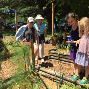 The Children's Learning Garden at Woodend Sanctuary