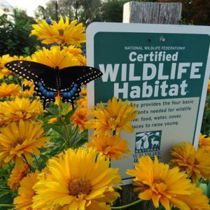 Bowie, Maryland is Certified Community Wildlife Habitat