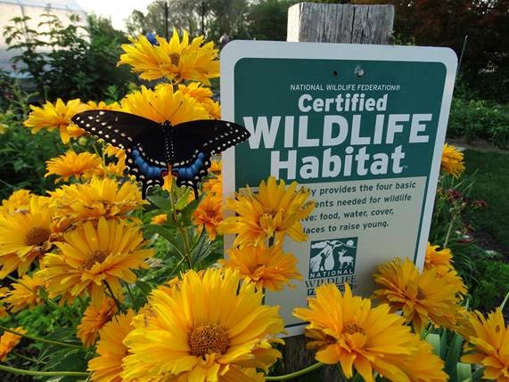 Bowie, Maryland is Certified Community Wildlife Habitat