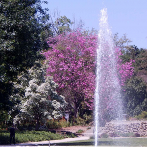 Los Angeles County Arboretum and Botanic Garden