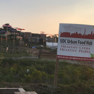 East Capitol Urban Farm