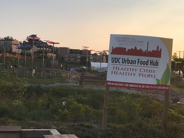 East Capitol Urban Farm