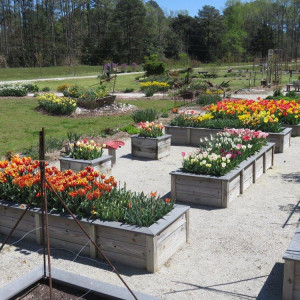 The Poquoson Learning Garden at the Poquoson Museum