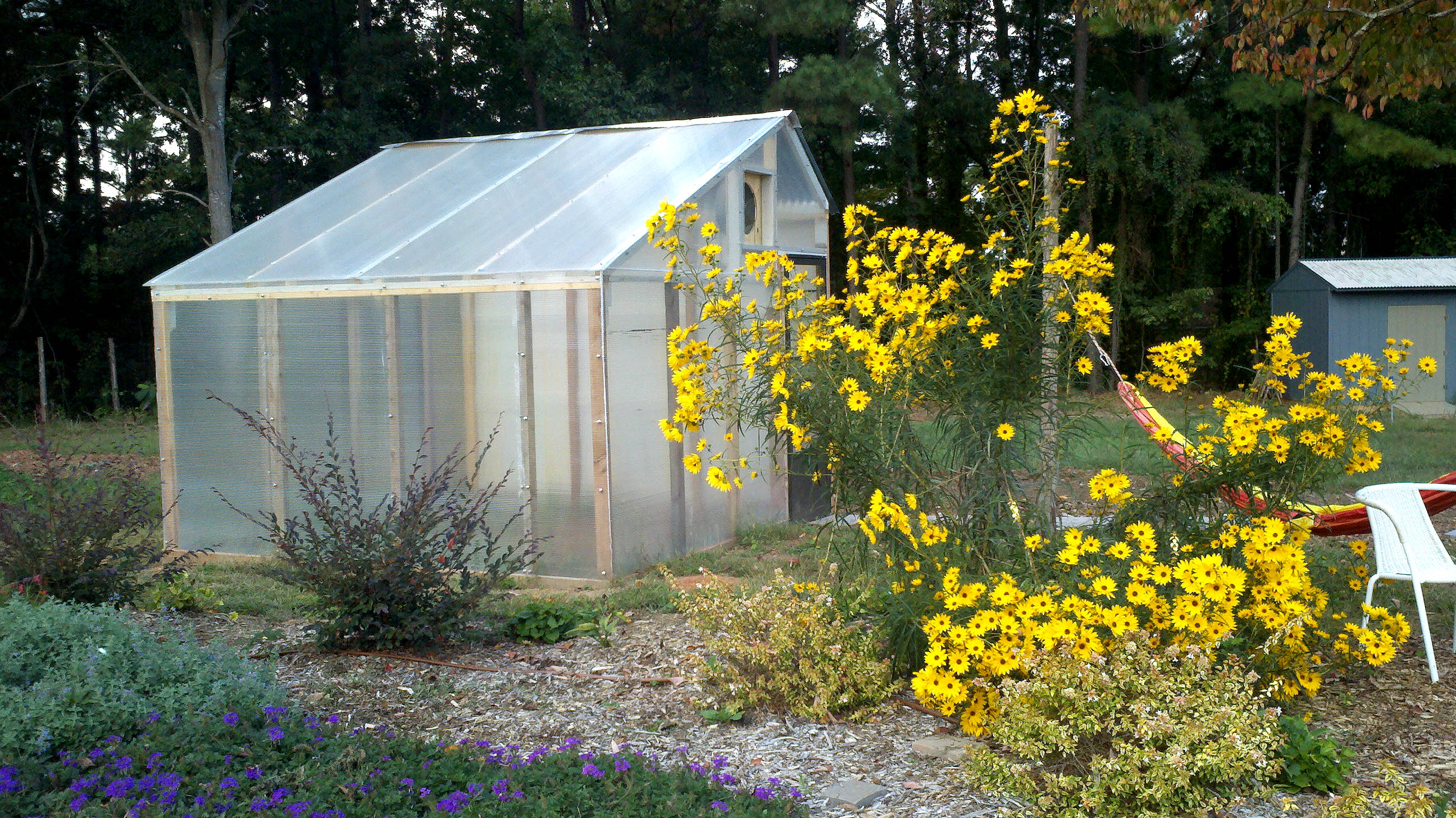 Well Fed Community Garden's greenhouse.