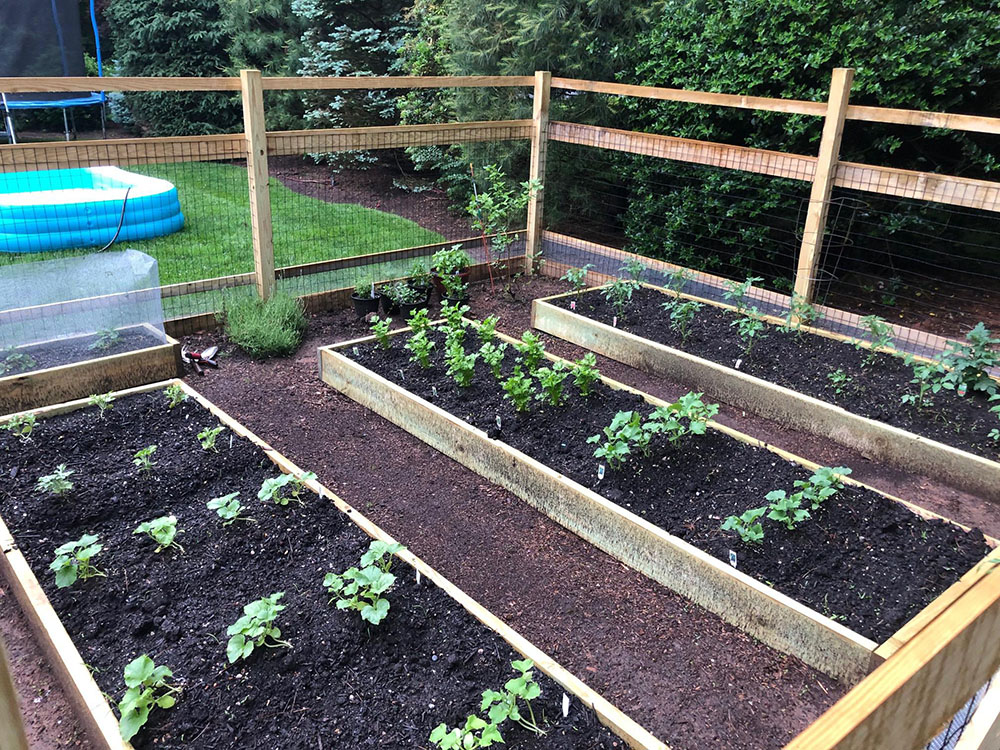 Ivan installed a fence around his garden to protect it from deer.