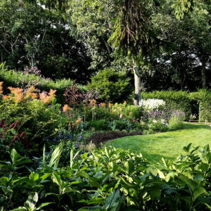 Bridge Gardens in summer bloom