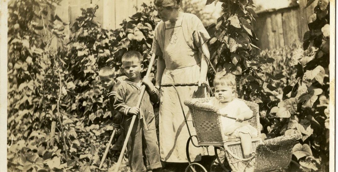 The O'Donnell Garden - Smithsonian Gardens