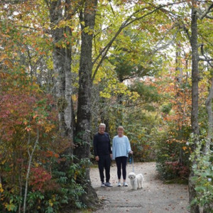 5. Visitors walk their dogs everyday through the village trails.