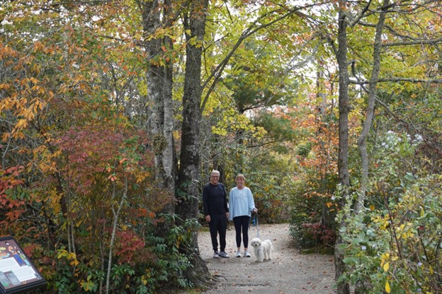 5. Visitors walk their dogs everyday through the village trails.